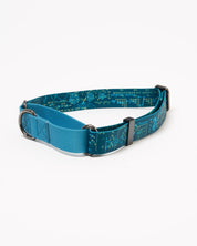 Equations That Changed the World Eco Martingale Collar