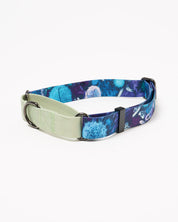 Infectious Disease Eco Martingale Collar