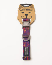 Alchemy Eco Pet Collar