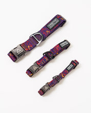 Alchemy Eco Pet Collar