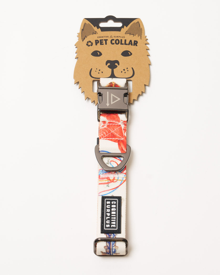 Anatomy Eco Pet Collar