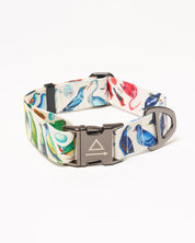 Birds Eco Pet Collar