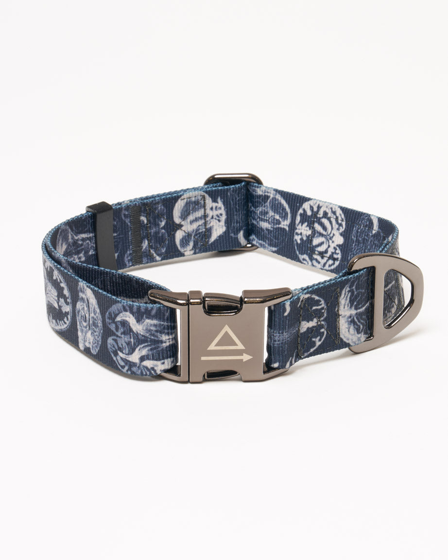 Brain Eco Pet Collar