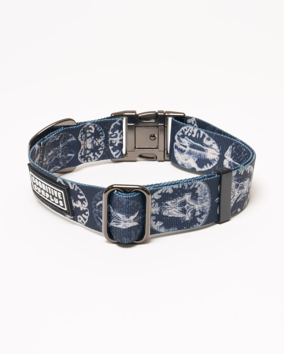 Brain Eco Pet Collar