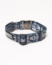 Brain Eco Pet Collar