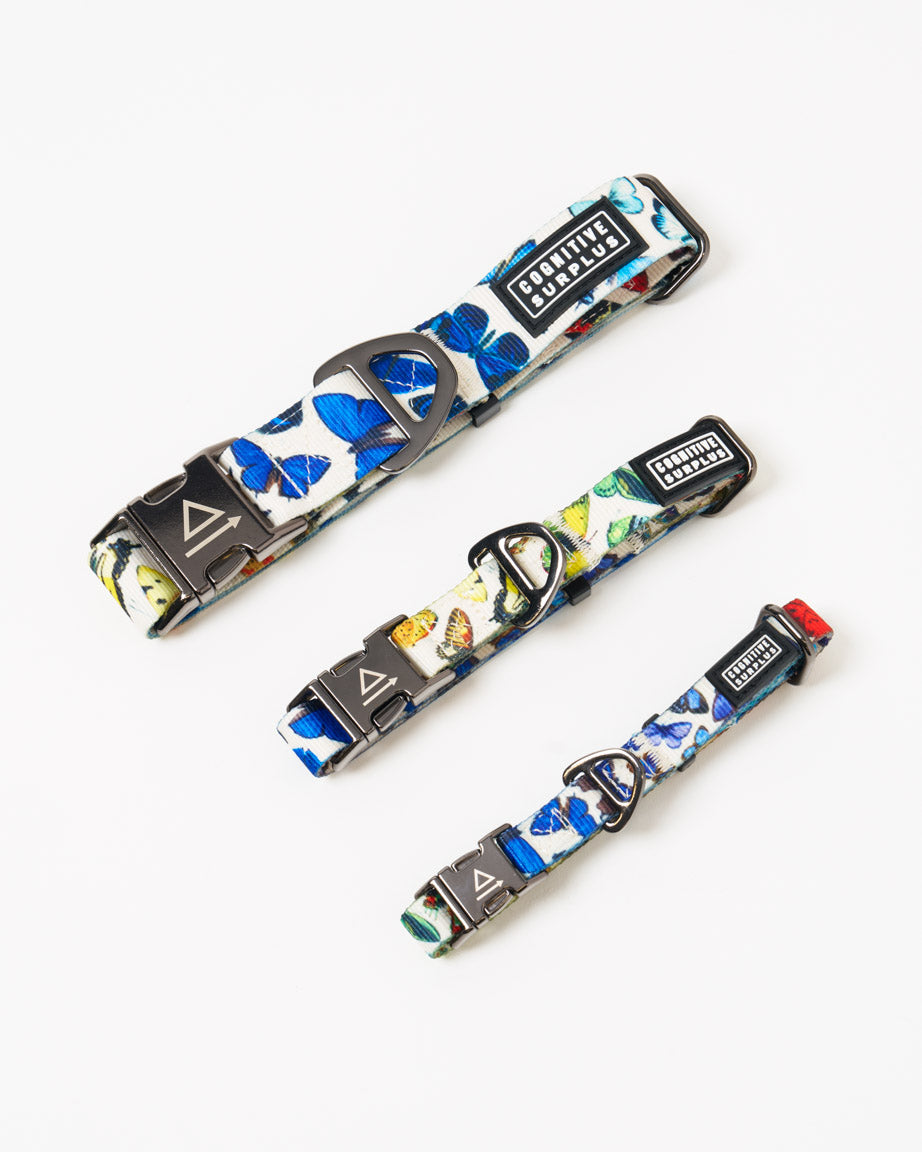 Butterfly Garden Eco Pet Collar