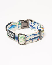 Freshwater Fish Eco Pet Collar