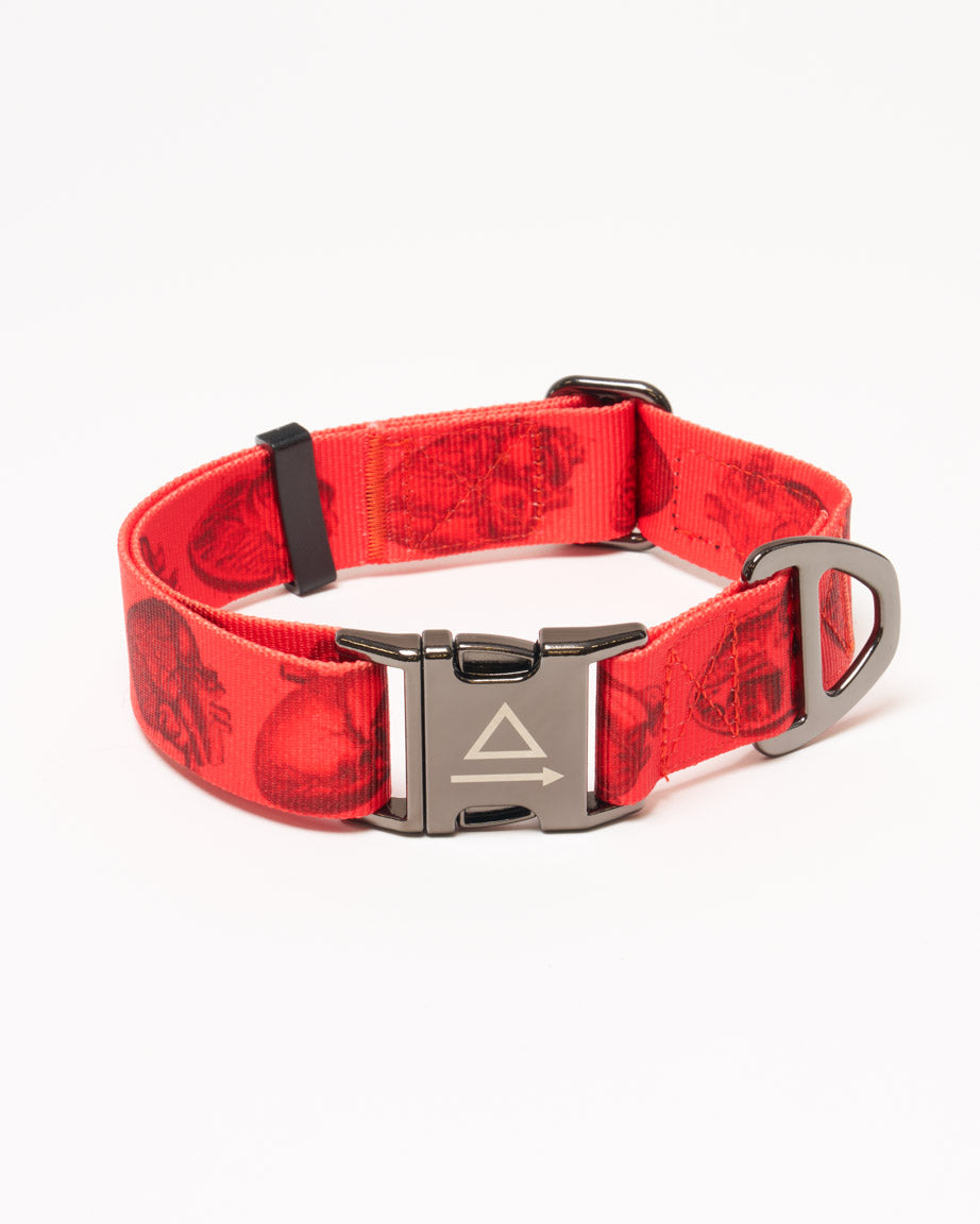 Anatomical Heart Eco Pet Collar