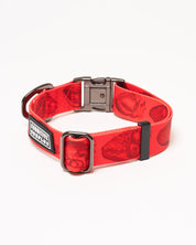 Anatomical Heart Eco Pet Collar