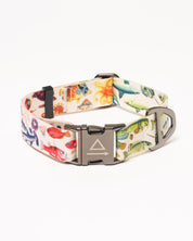Ocean Science Eco Pet Collar