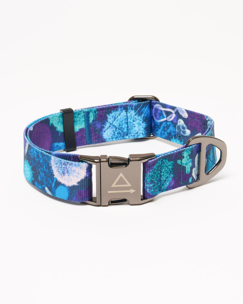 Infectious Disease Eco Pet Collar