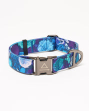 Infectious Disease Eco Pet Collar