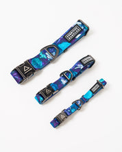 Infectious Disease Eco Pet Collar