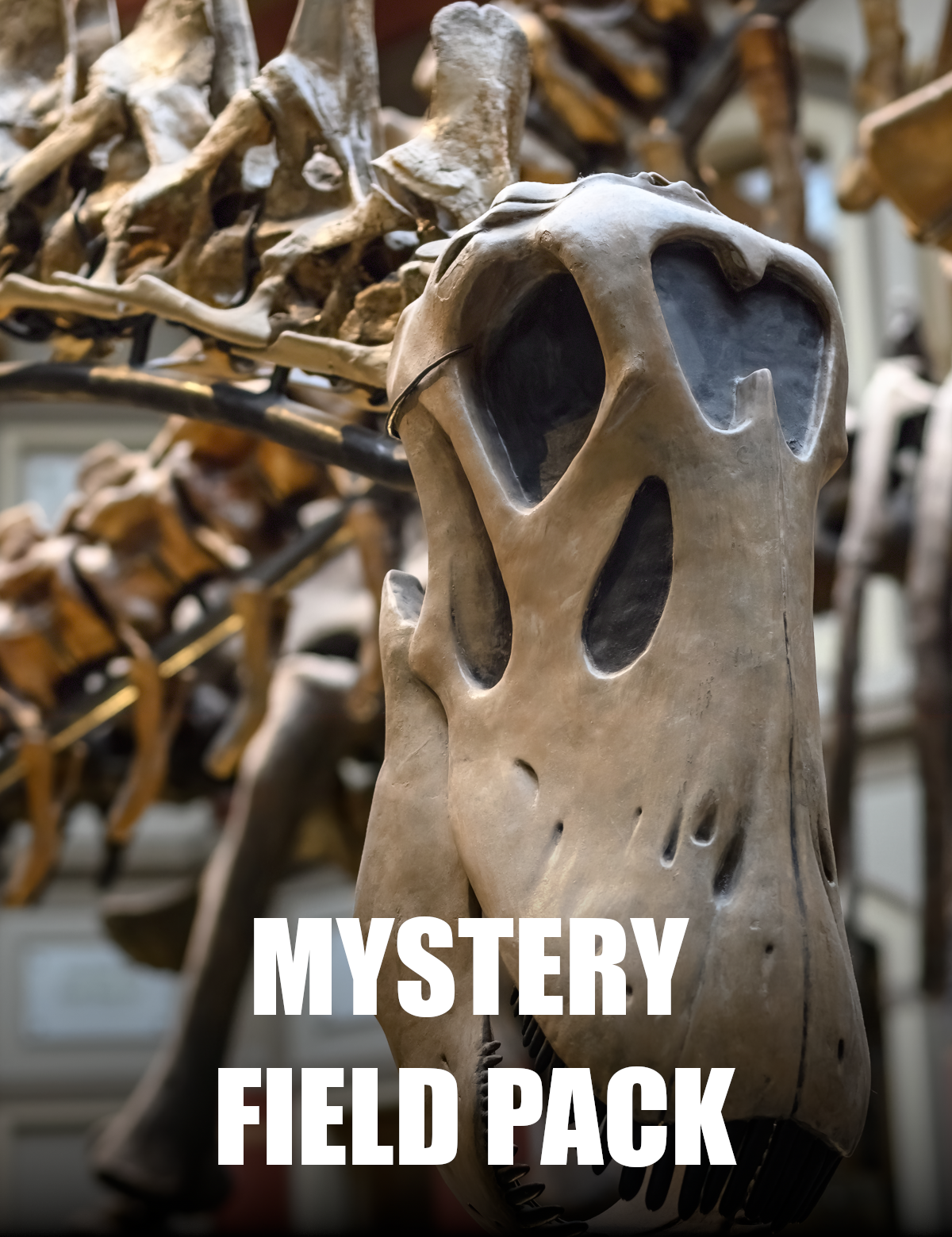 DinosaurDelightMFPPicture.png