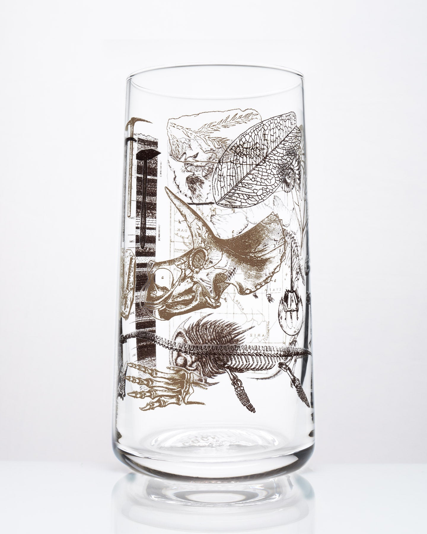 Vintage Dinosaur Drinking Glass