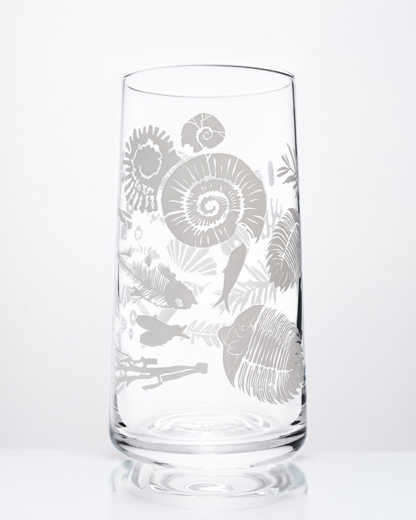 Fossils Drinking Glass