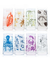 Vintage Science Drinking Glassware Set of 8