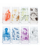 Vintage Science Drinking Glassware Set of 8