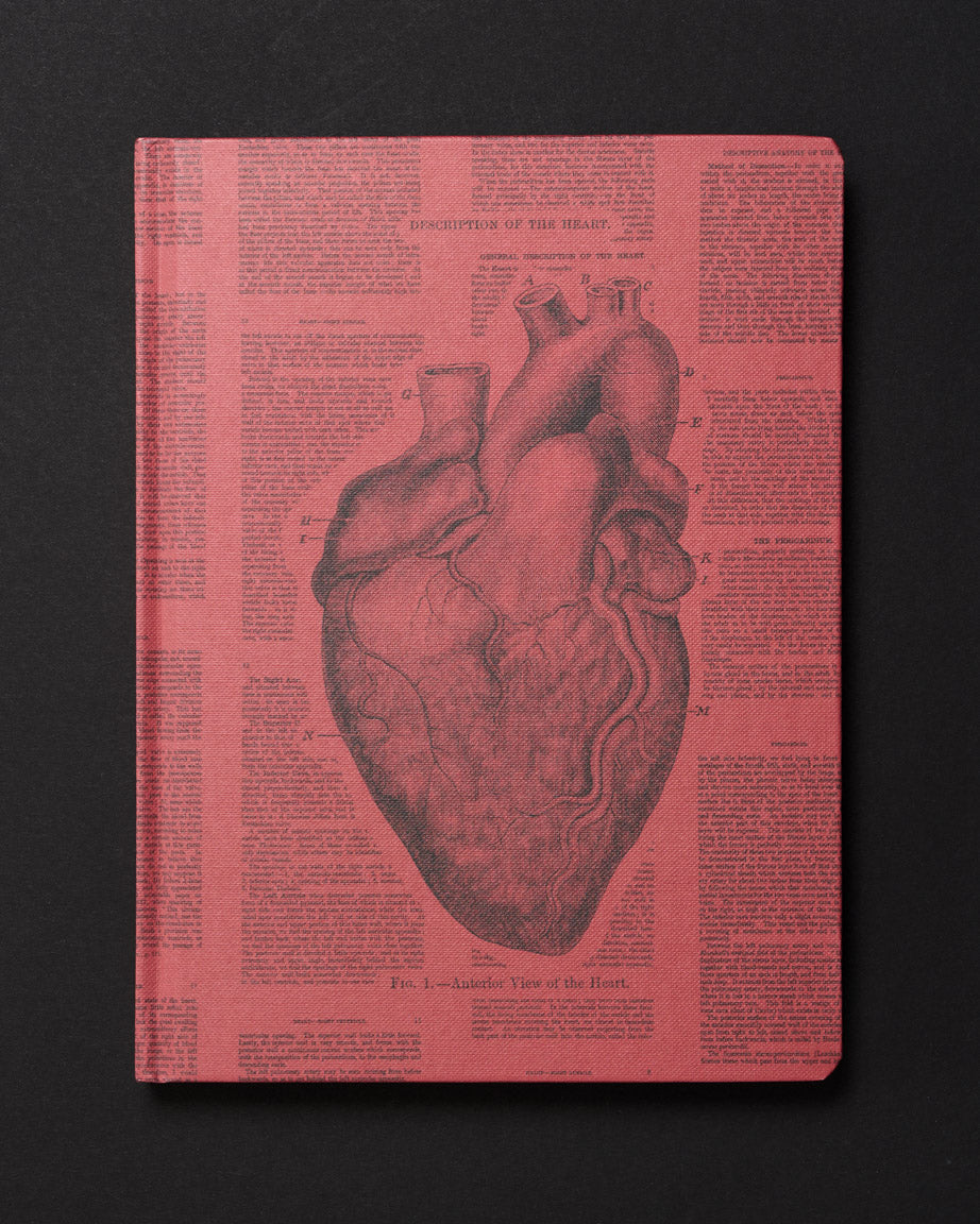 Anatomical Heart Dark Matter Notebook