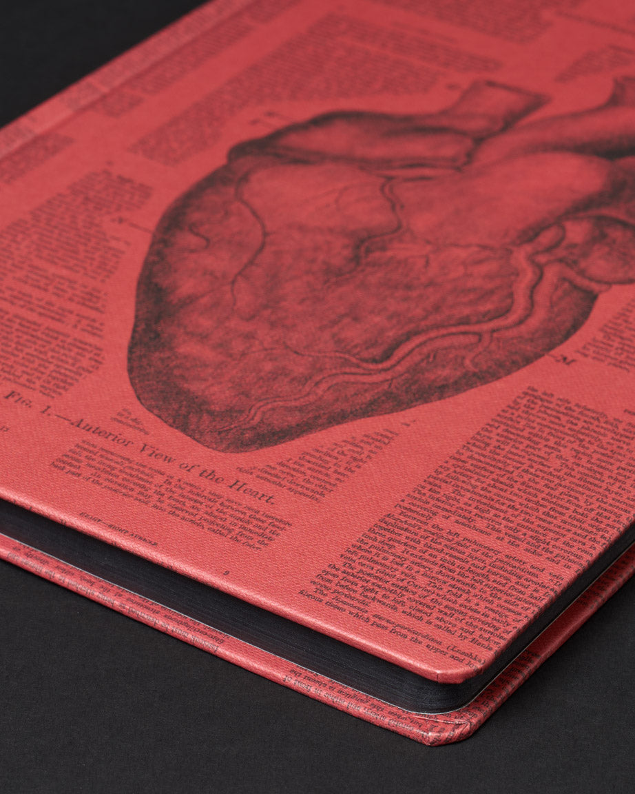 Anatomical Heart Dark Matter Notebook