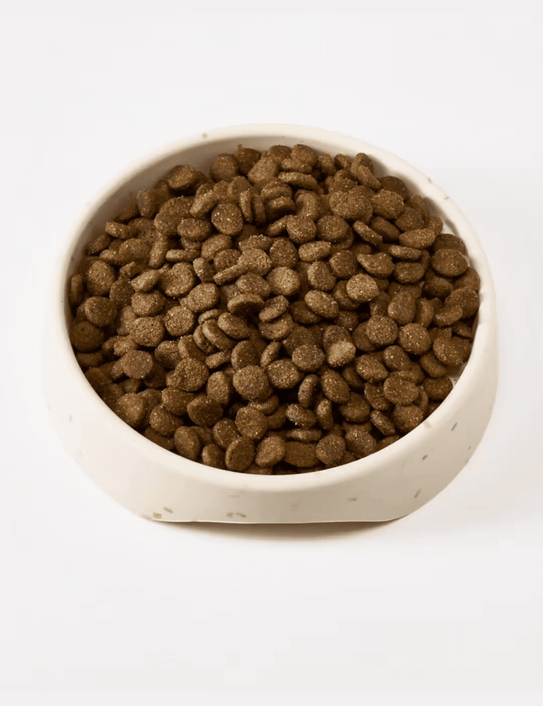 DogBowlVideoB_cd907d86-10e2-4981-bc61-e25293c01ed2.gif