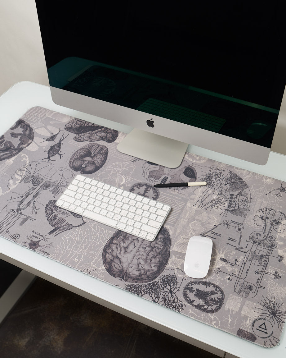 Brain Anatomy Mouse Pad