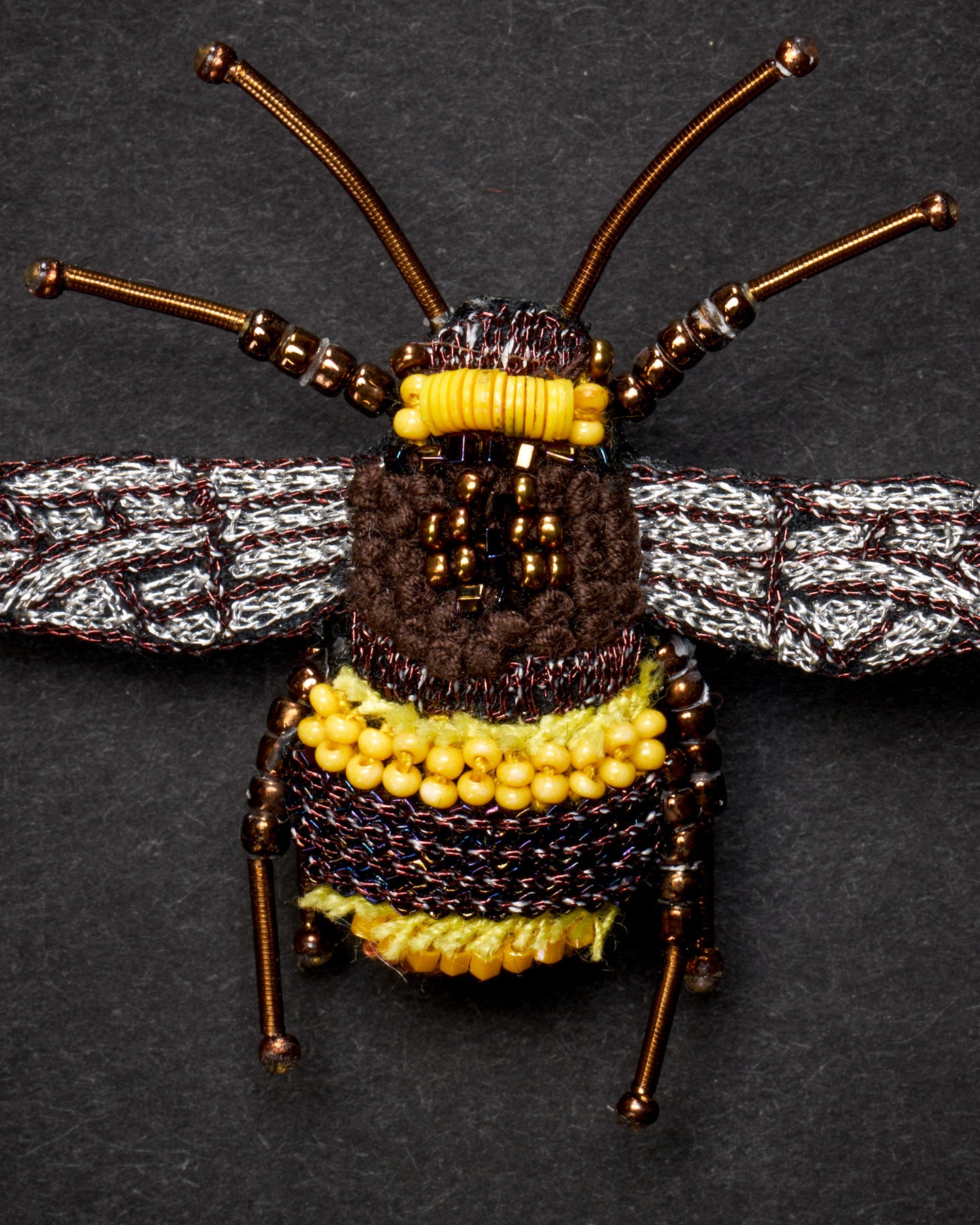 EXT-TL-B-419_Large_Earth_Bumblebee_2.jpg