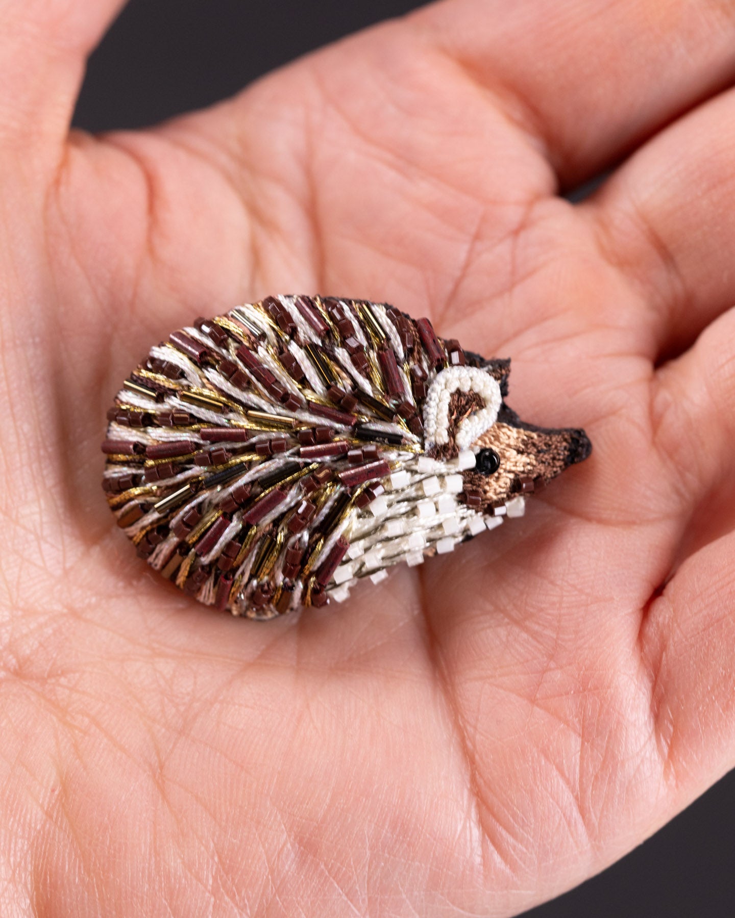 EXT-TL-B-498_Long-Eared_Hedgehog_3.jpg