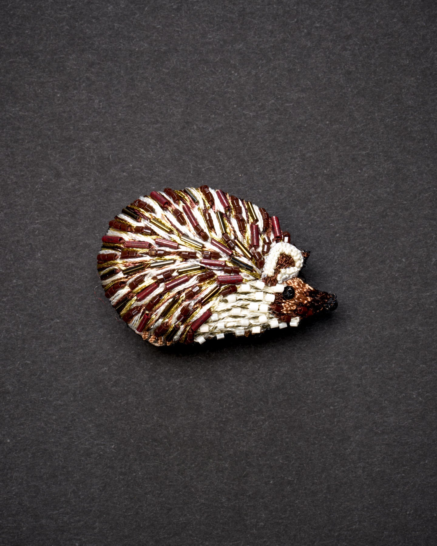 EXT-TL-B-498_Long-eared_Hedgehog_1.jpg