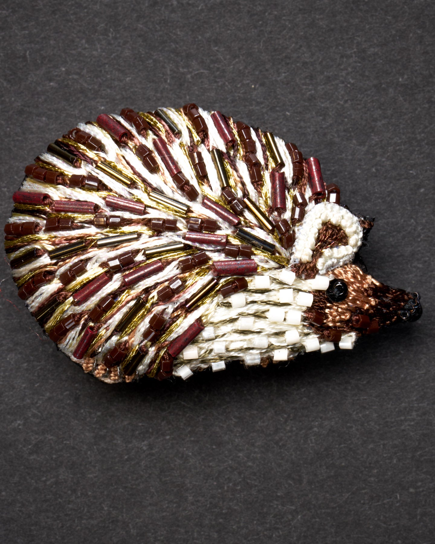 EXT-TL-B-498_Long-eared_Hedgehog_2.jpg