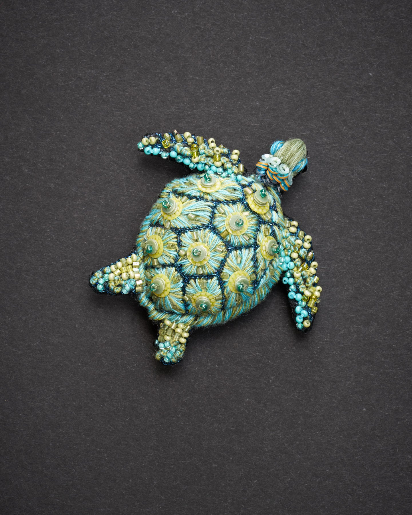 EXT-TL-B-588_Green_Sea_Turtle_1.jpg