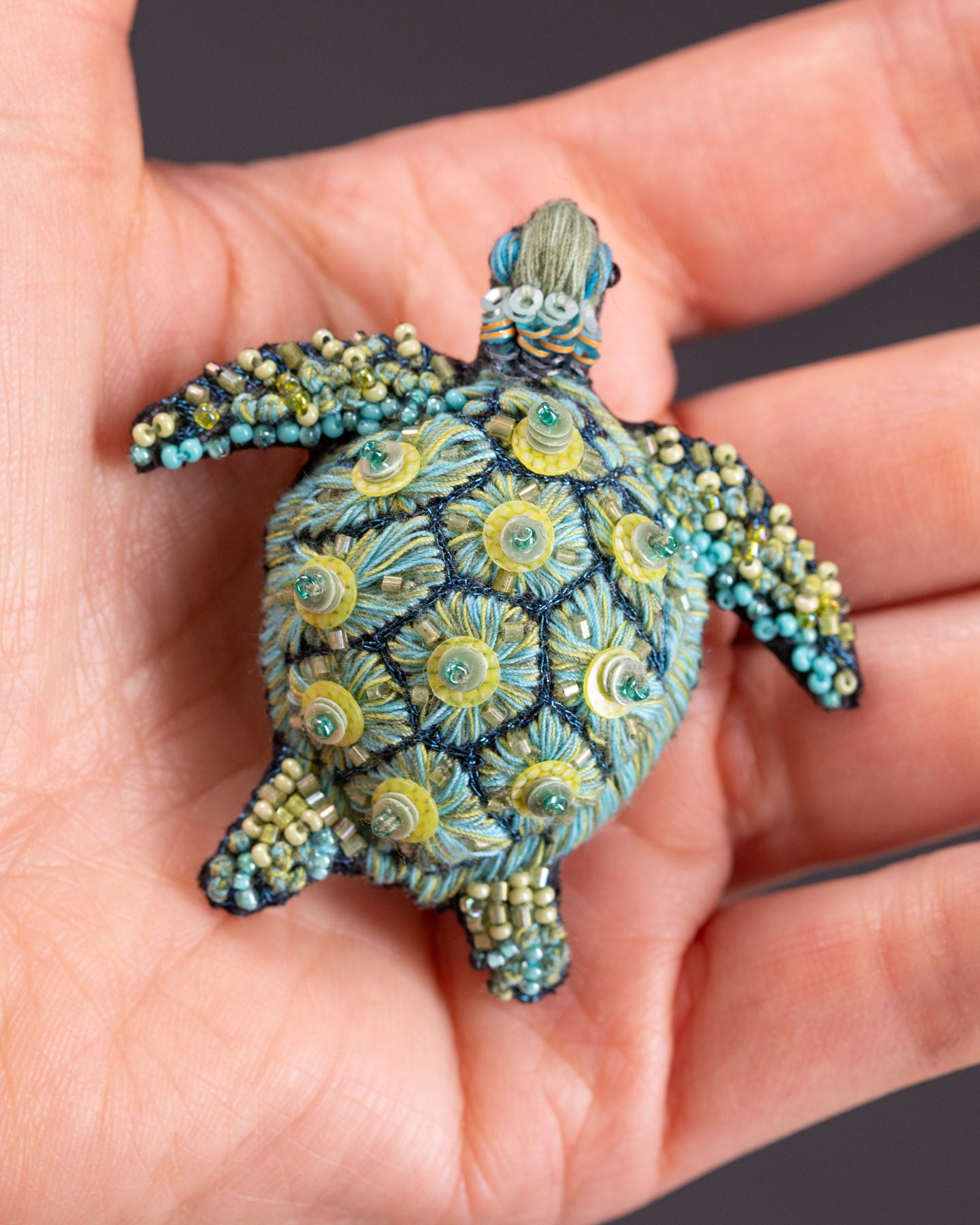 EXT-TL-B-588_Green_Sea_Turtle_3.jpg