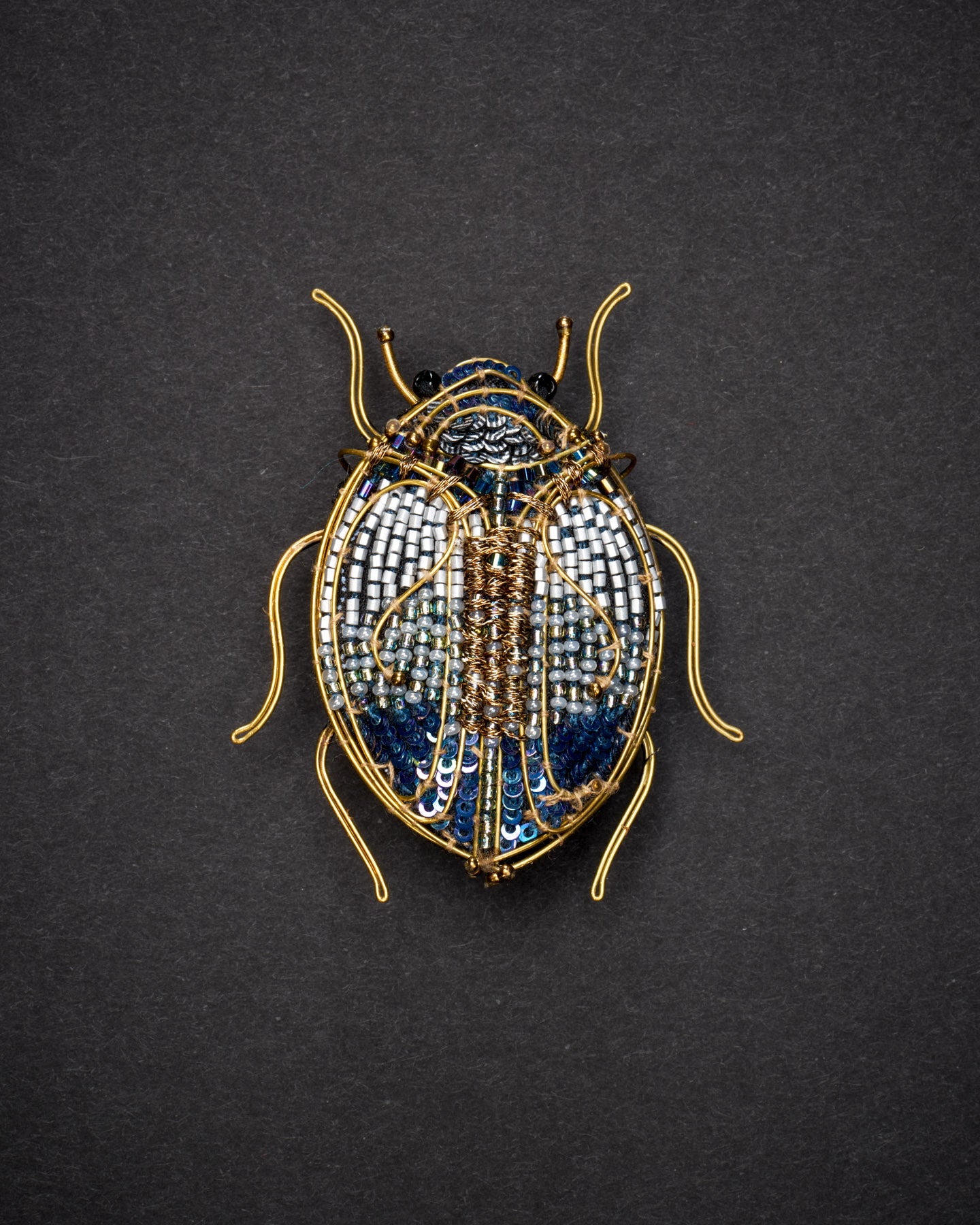 EXT-TL-B-621_Jewel_Scarab_Beetle_1.jpg