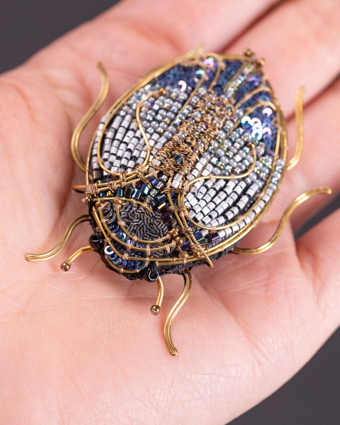 EXT-TL-B-621_Jewel_Scarab_Beetle_3.jpg