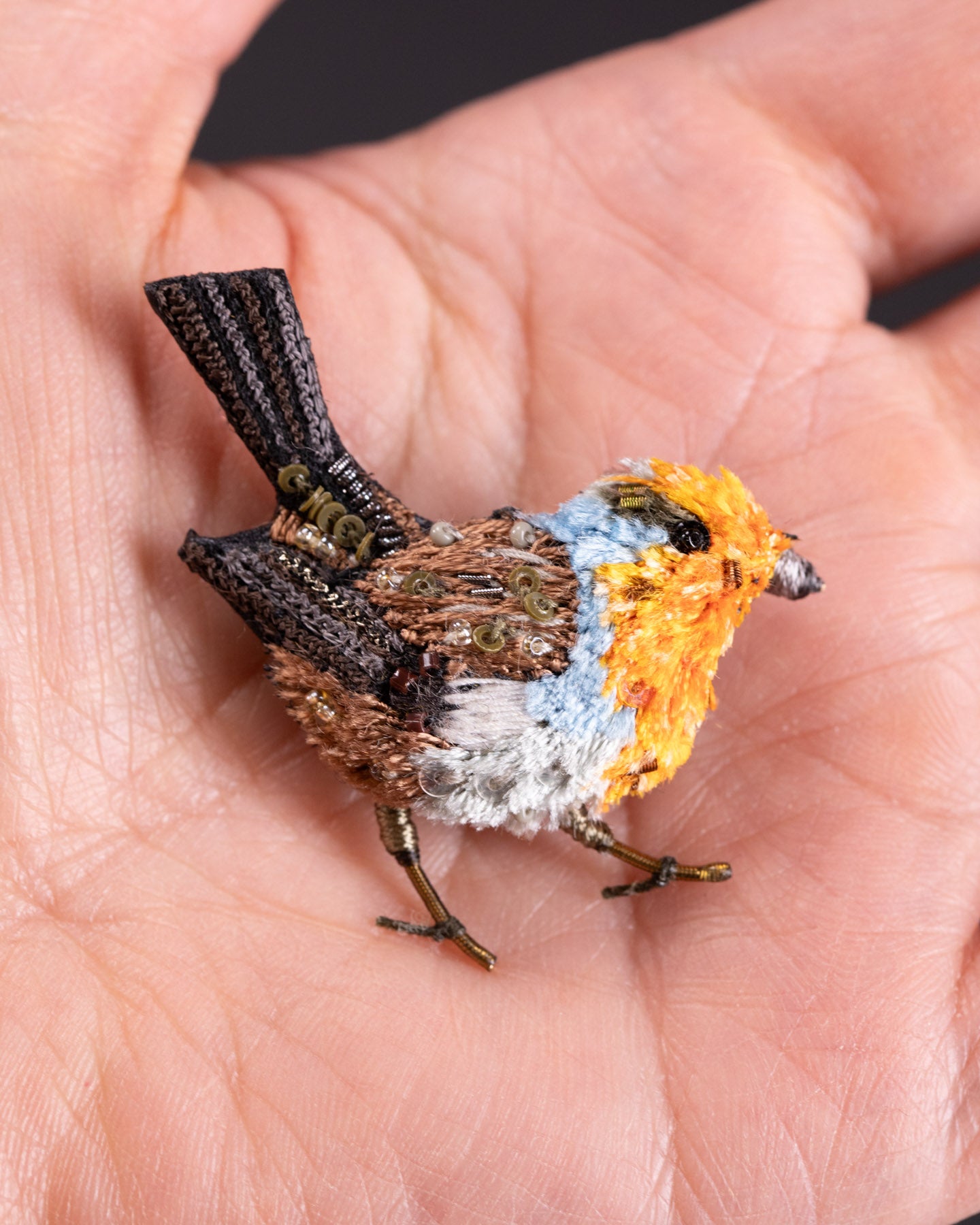 EXT-TL-B-729_Robin_Redbreast_3.jpg