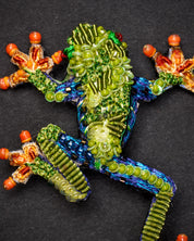 Red Eyed Tree Frog Brooch Pin - Trovelore