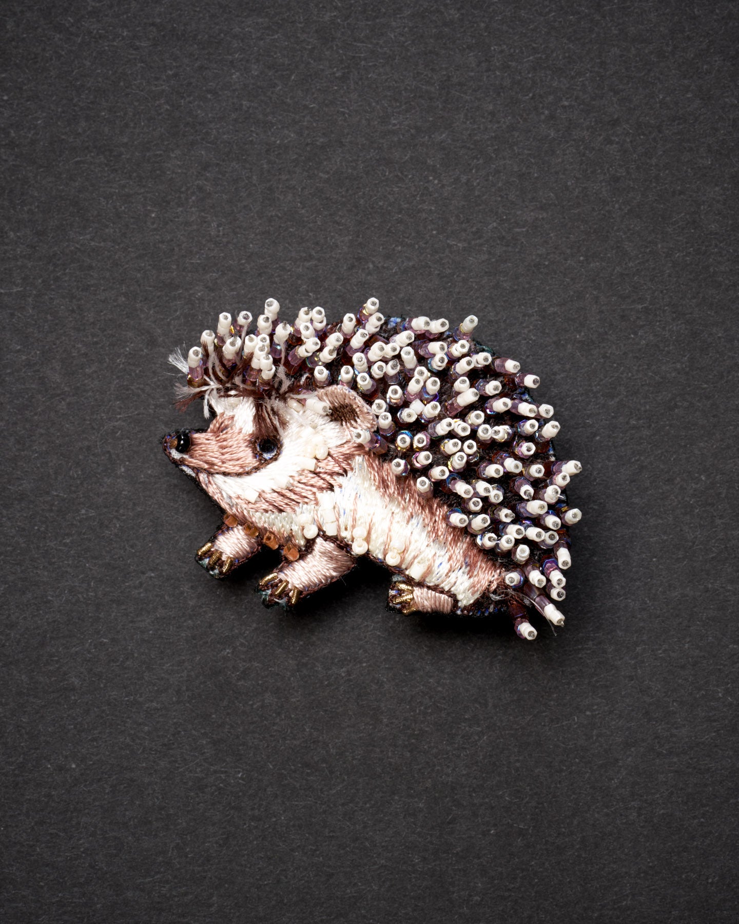 EXT-TL-B-833_White-Breasted_Hedgehog_1.jpg