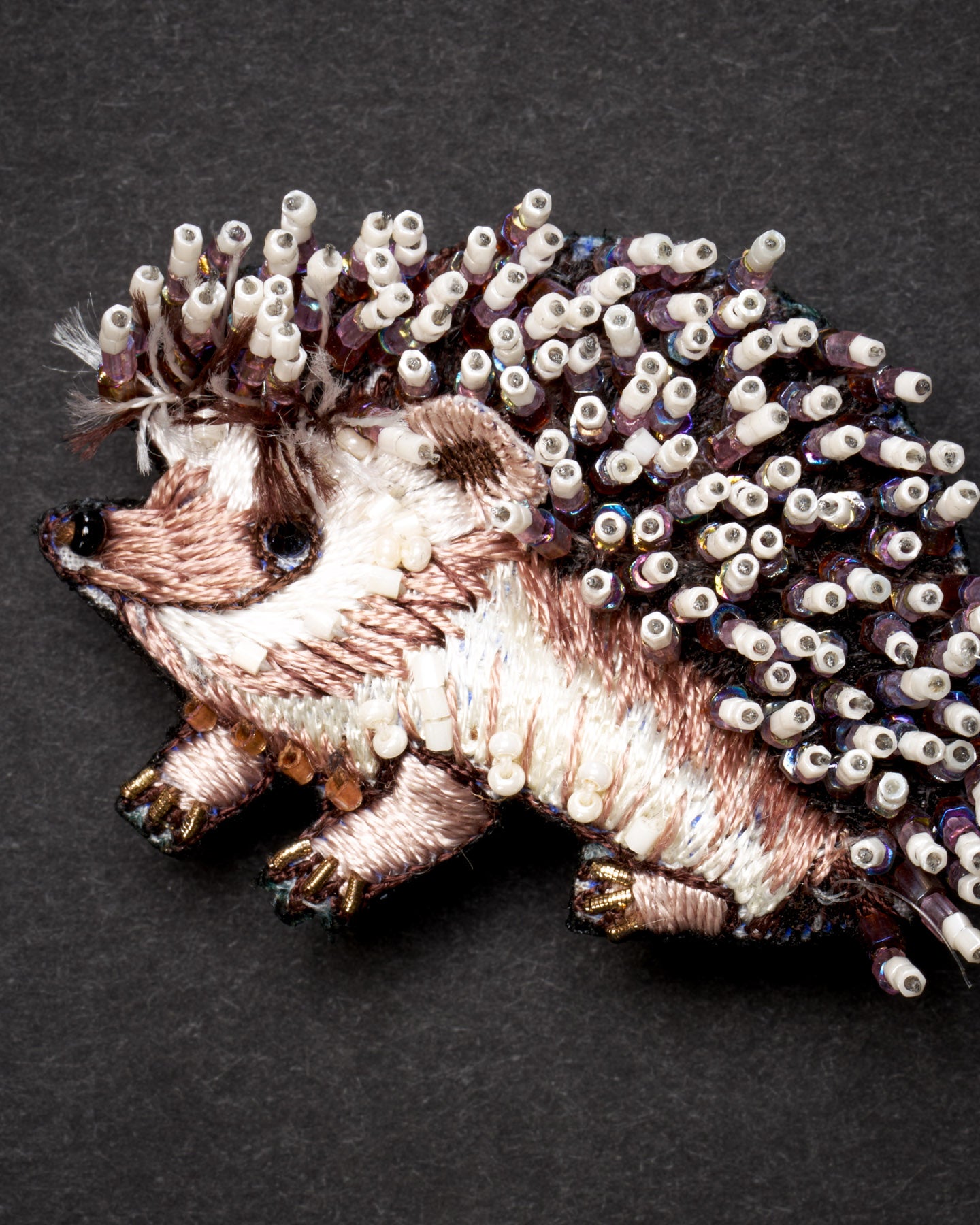 EXT-TL-B-833_White-Breasted_Hedgehog_2.jpg