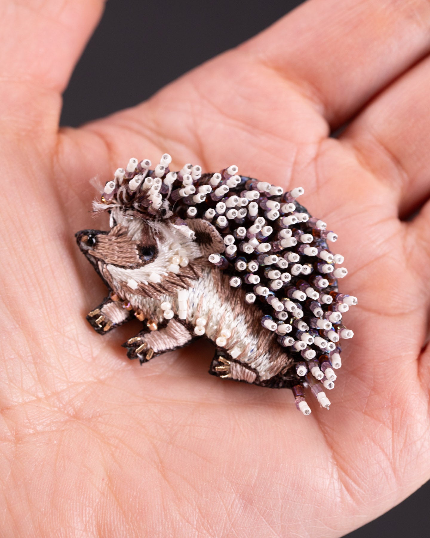 EXT-TL-B-833_White-Breasted_Hedgehog_3.jpg