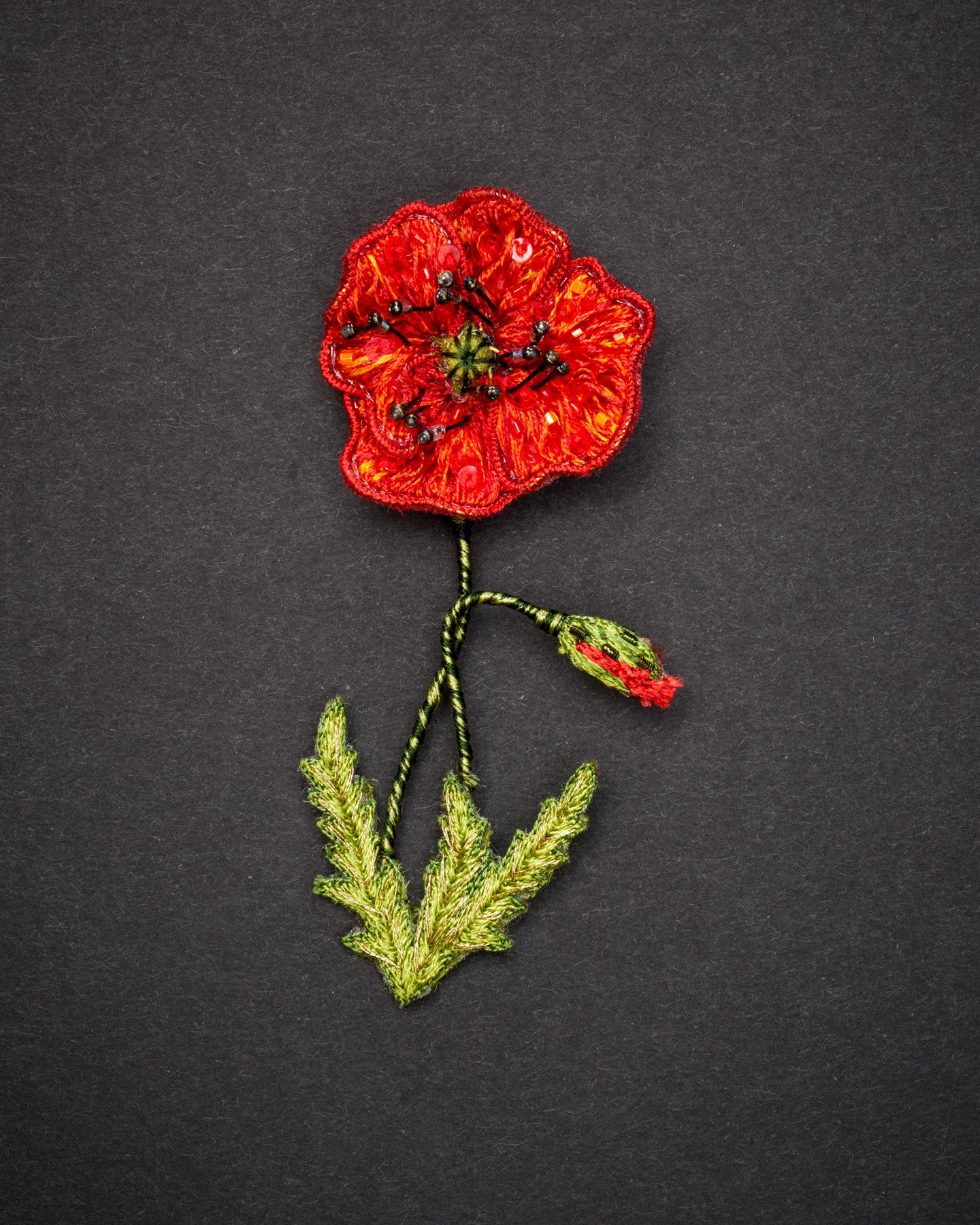 EXT-TL-B-898_Field_Poppy_1.jpg