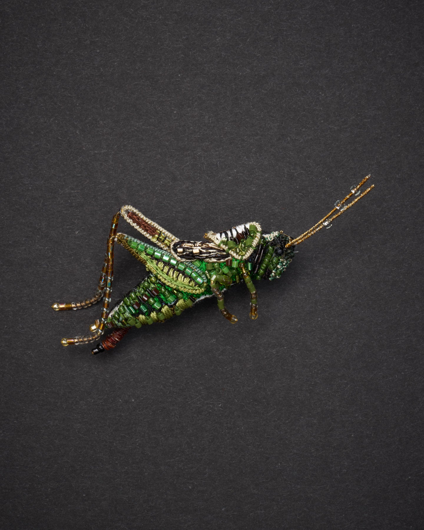 EXT-TL-B-904_Striped_Grasshopper_1.jpg