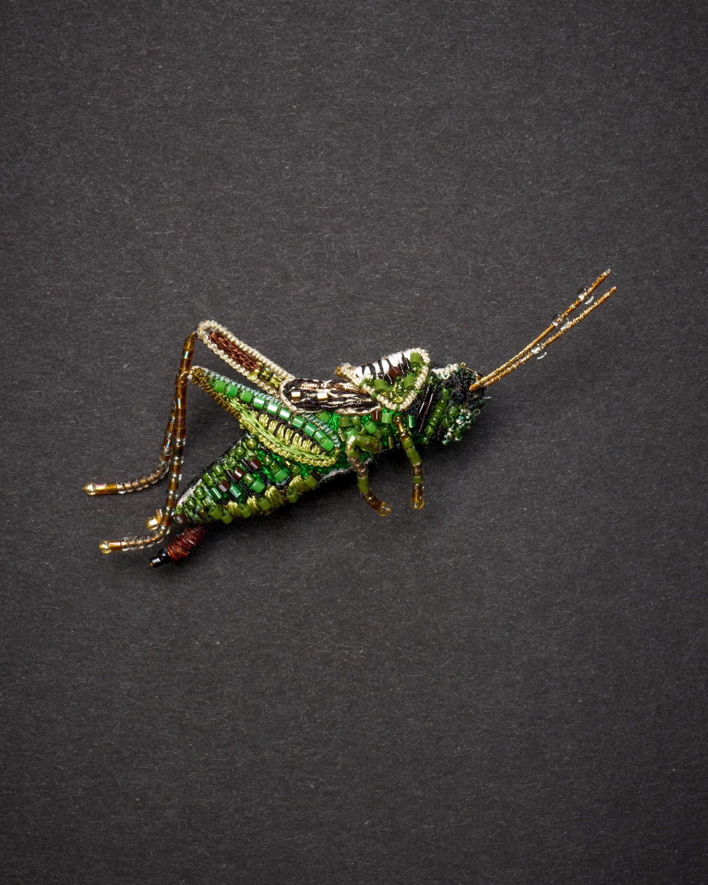 EXT-TL-B-904_Striped_Grasshopper_1_1.jpg