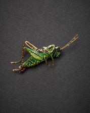 Striped Grasshopper Brooch Pin - Trovelore