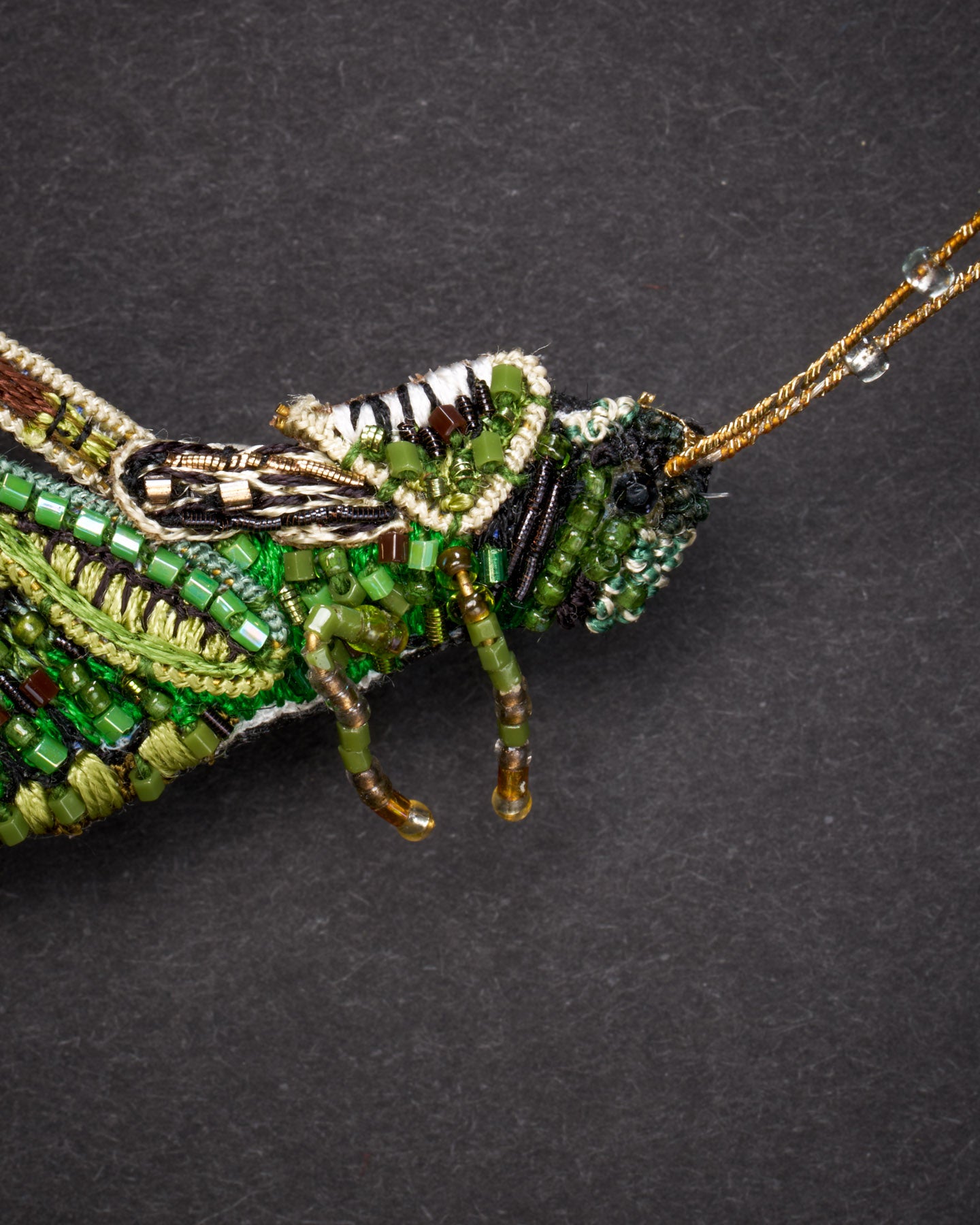 EXT-TL-B-904_Striped_Grasshopper_2.jpg