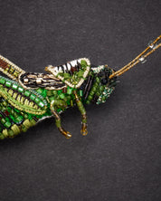 Striped Grasshopper Brooch Pin - Trovelore
