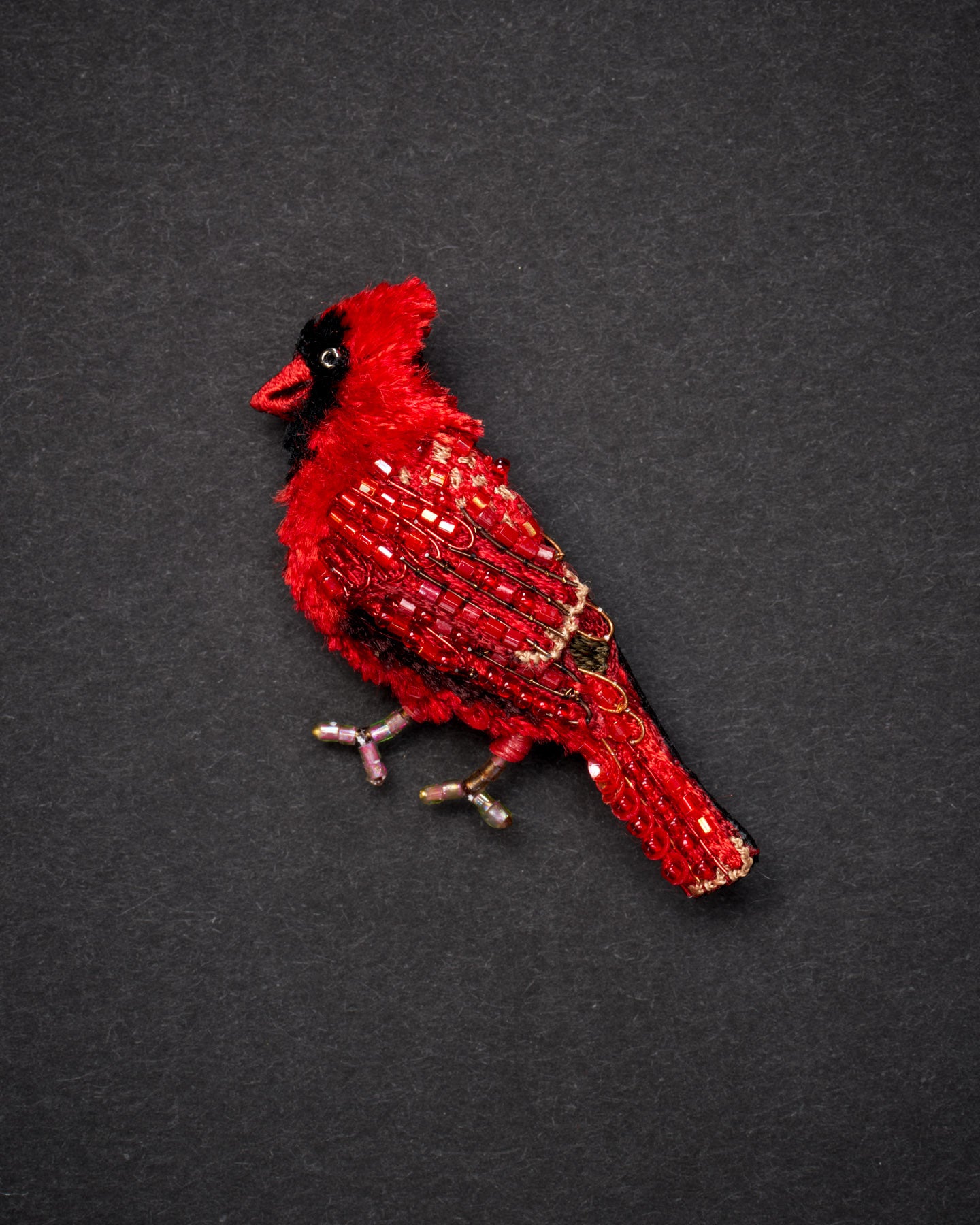 EXT-TL-B-928_Northern_Cardinal_1.jpg