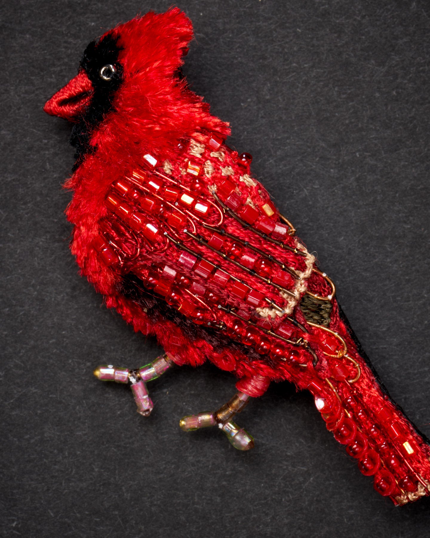 EXT-TL-B-928_Northern_Cardinal_2.jpg