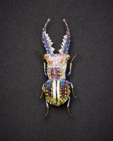 Stag Beetle Brooch Pin - Trovelore