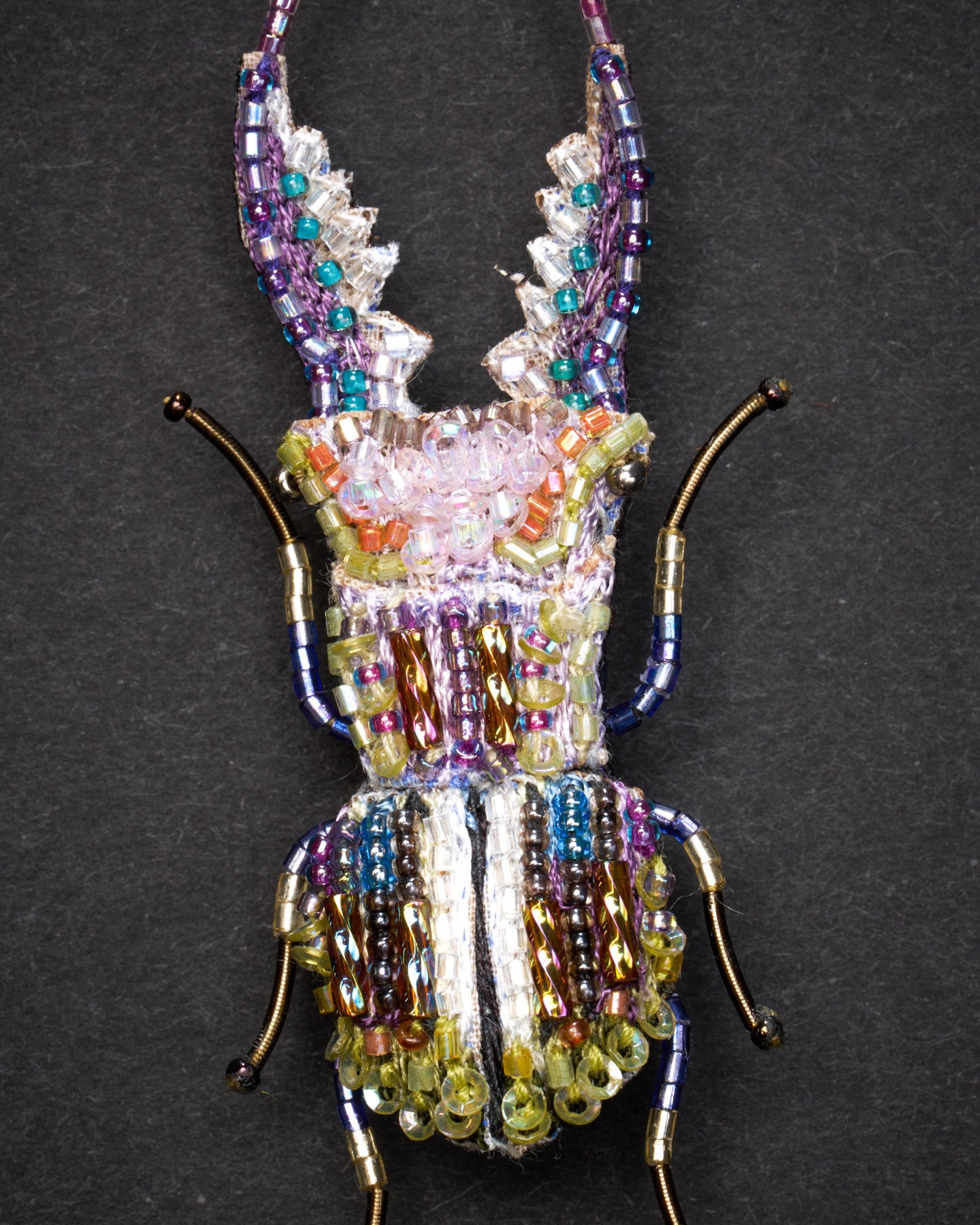 EXT-TL-B-966_Stag_Beetle_2.jpg
