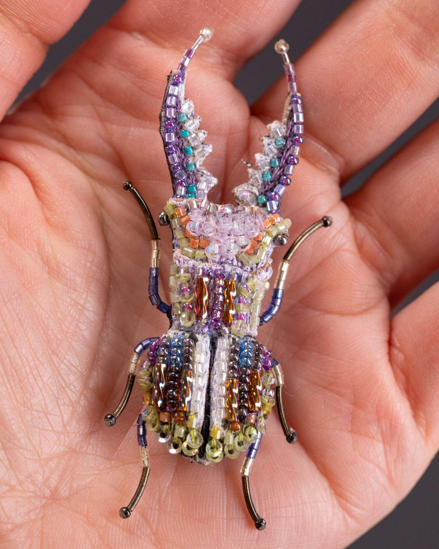 EXT-TL-B-966_Stag_Beetle_3.jpg